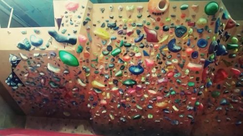 栃木県のクライミング施設「クライミングジム prob（プロブ）」